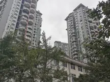 海棠溪 聚丰江山里四房139万