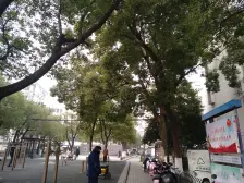 三元二村 轨道交通沿线 新上好房 业主诚意出售