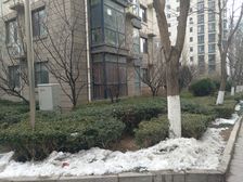 黄海城市花园 3室2厅 南 北