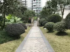 恒大帝景 3室1厅 西南