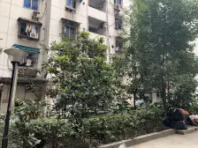 石桥铺,南方花园精装修,诚心出售,采光好