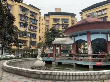 龙湖旁顶楼带私人露台 科园四路好吃街采光好 交通便利