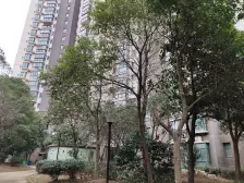 出入方便,适合青少年和老人居住,楼下就是旺中旺