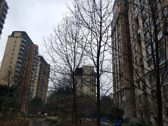 中旅蓝岸国际