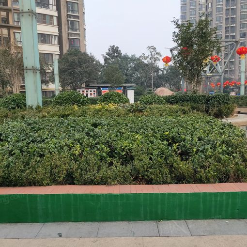 Õû×⡤ÌìÂ×Ë®¾§³Ç3ÊÒ1Ìü