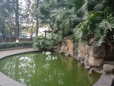 时代天街18号线旁 急卖捡趴活