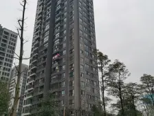 龙洲湾公园旁 江景洋房 一梯两户 住家装修