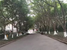 龙洲湾精装修两房 视野开阔 业主诚心出售 成熟配套