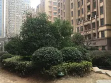 电梯房 1梯2户 双地铁口 楼层位置俱佳