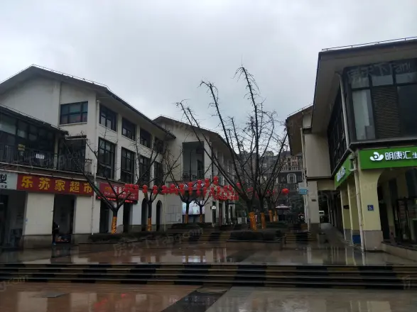 中旅蓝岸国际