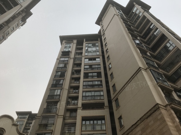 长沙玫瑰园