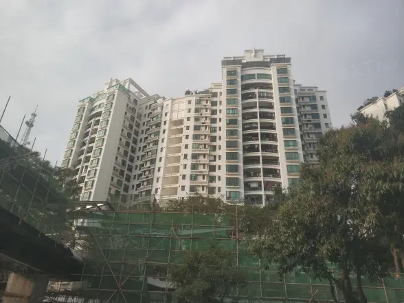 云顶翠峰