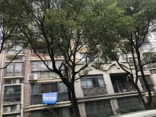 绿地万达双商圈,配套完善,经典飞机户型,看房有钥匙