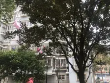 次顶楼三房,双阳台,刚需首套看过来+20平储藏室