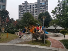 龙洲湾 康利尔风花树一房29万