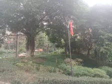 大坪 江屿朗廷三房200万