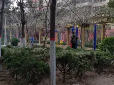 曙光苑大两房 毛坯 不临路 中间楼层 满五年