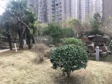 双地铁口 出现方便 配套齐全 小户型