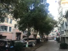 庐山花园如琴苑 南北通透,采光好 装修好,环镜优美 近地铁 视野好,诚心出售