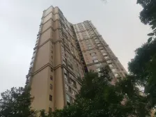 千灯湖地铁口 少有复式 可看湖景 自家房抬头看星赏月