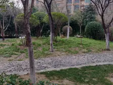 立体世界 诚心卖 ,看房方便,楼层好 采光充足