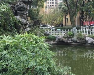 客厅朝南带阳台,满五年,视野无遮挡,全明户型!