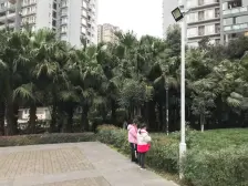 华岩新城 斌鑫西城绿锦榕尚居三房75万