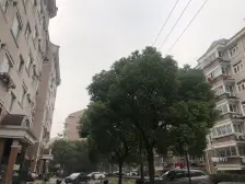 适合小夫妻,楼层好,随时看房.