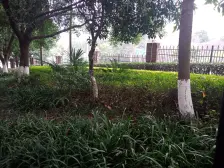 房子楼层好,采光充足,格局好,大三房,出行方便