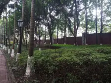 轻轨口旁 正规两房 业主诚售 看房方便