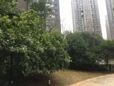 世纪中央城 南北通透,采光好 装修好,环镜优美 近地铁 中间楼层