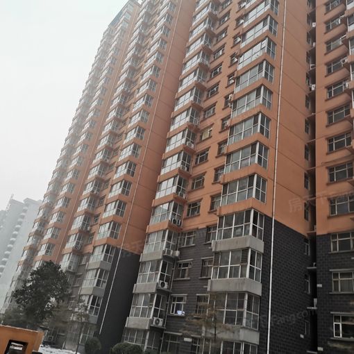 龙洲新城2室2厅1卫北朝向1100.00元/月出租