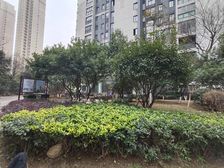 澄碧湖旁玺园北区,低楼层诚心出售