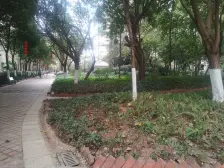 千灯湖 中海万锦豪园 产权清晰 业主有心卖 随时可看