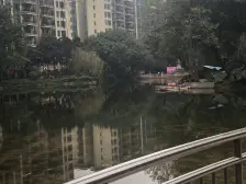 大坪 恒大名都四房220万