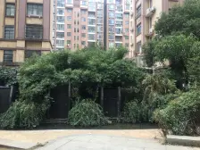 名门世家电梯中间不通透2房,房东期望过高但采光很好