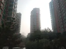 亚星盛世家园 2室1厅 东