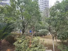 配套成熟 房子格局好 交通便利 出行方便