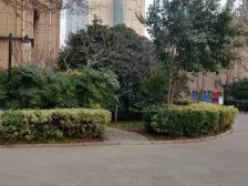 户型设计贼好 视野采光好 有钥匙随时看