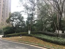 世纪中央城 南北通透,采光好 近地铁 视野好,诚心出售