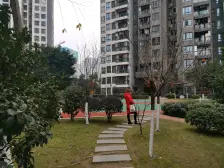 龙洲湾 康利尔风花树二房