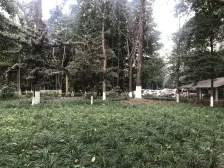 北部新区 北岸新洲三房100万