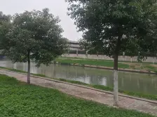 边套户型,楼层好,采光视野好,电梯房,店总推荐