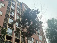 户型方正无浪费空间,格局好,不临街