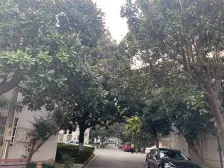 随时看房 中间楼层,新上房源