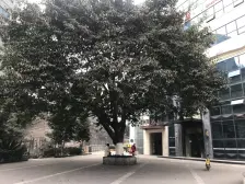 冉家坝旁+妇幼保健院+龙湖源著天街 还价就买