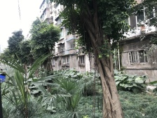 南桥寺 华渝西苑二房52万