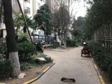 南阳路上 5楼 亚新美好时光 标间 小区绿化优美 诚心