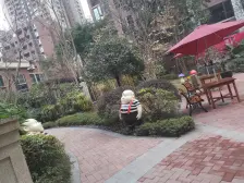 双碑地铁站旁精装房, 户型方正 业主诚心出售