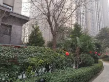 康桥溪山御府金水河旁 双气标准两房 安静环境好急售